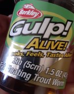 Gulp Alive 2 inch.jpeg