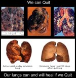 we-can-quit-smoking.jpg