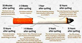 Here-is-What-Happens-With-Your-Body-When-You-Stop-Smoking....jpg